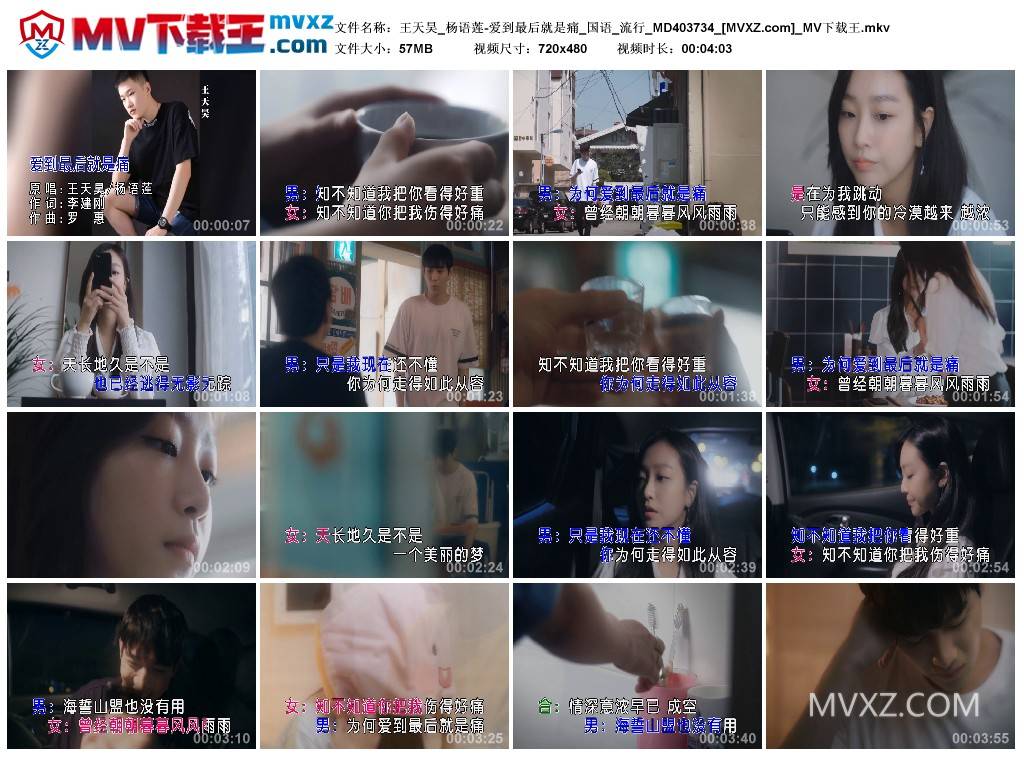 王天昊_杨语莲-爱到最后就是痛_国语_流行_MD403734